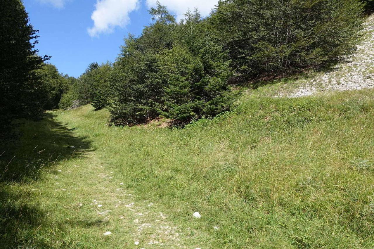 Petit Studio Atypique Et Cosy En Provence Saint-Étienne-les-Orgues エクステリア 写真